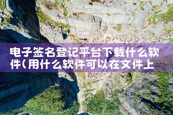 电子签名登记平台下载什么软件