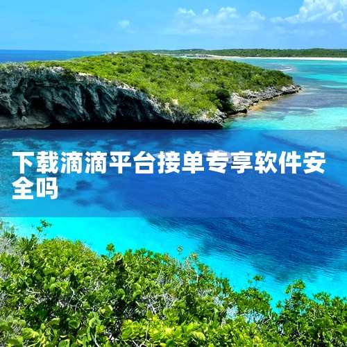 滴滴9.1.8版本是一个功能丰富、高效且安全的软件版本，为滴滴车主和出租车司机提供了优质的接单服务。特点如下：大单优先推荐：滴滴9.1.8版本优化了订单推荐系统，能够优先为车主推荐高价值的订单，如长途|