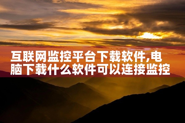 互联网监控平台下载软件